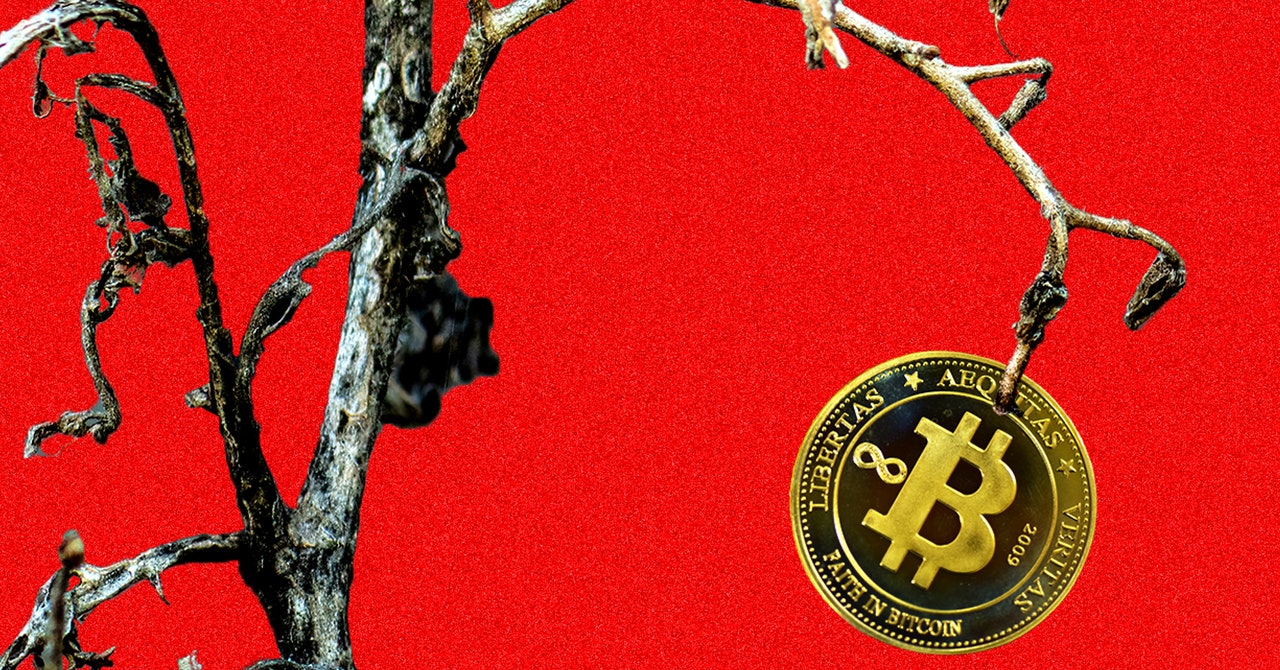 In the mountains of Kentucky, a bitcoin mining dream turned into a nightmare